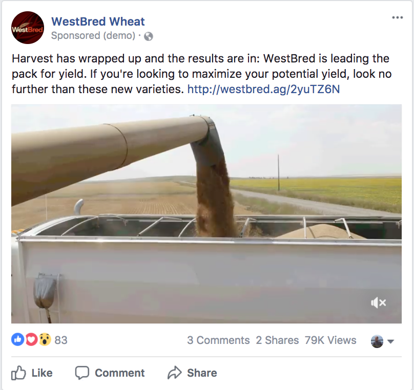 Screen Shot 2017-10-31 at 4.37.35 PM